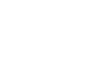 Disguise