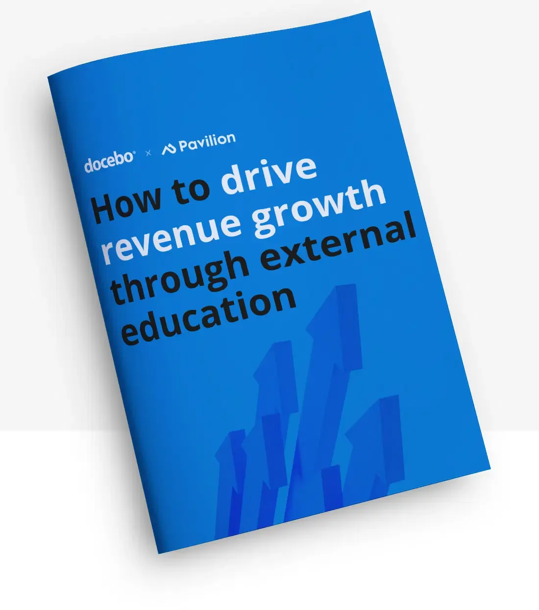 How to Drive Revenue Growth through External Education