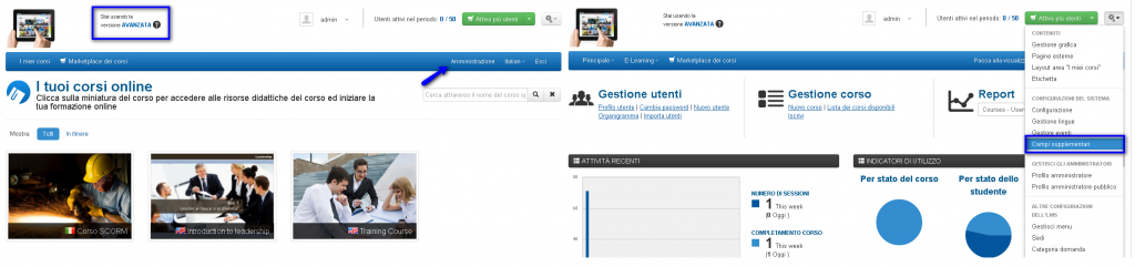 accedi allo strumento campi supplementari
