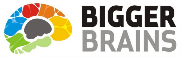 Bigger Brains - Mastering Microsoft Office