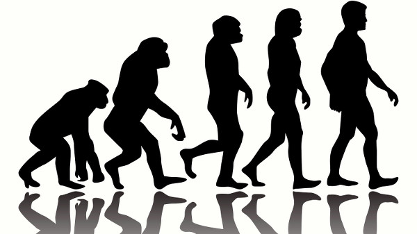 evolution