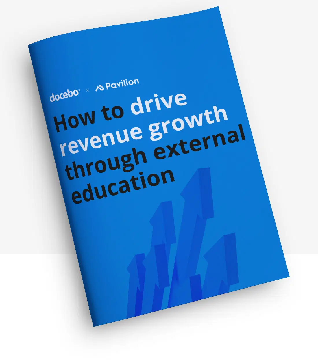 How to Drive Revenue Growth through External Education