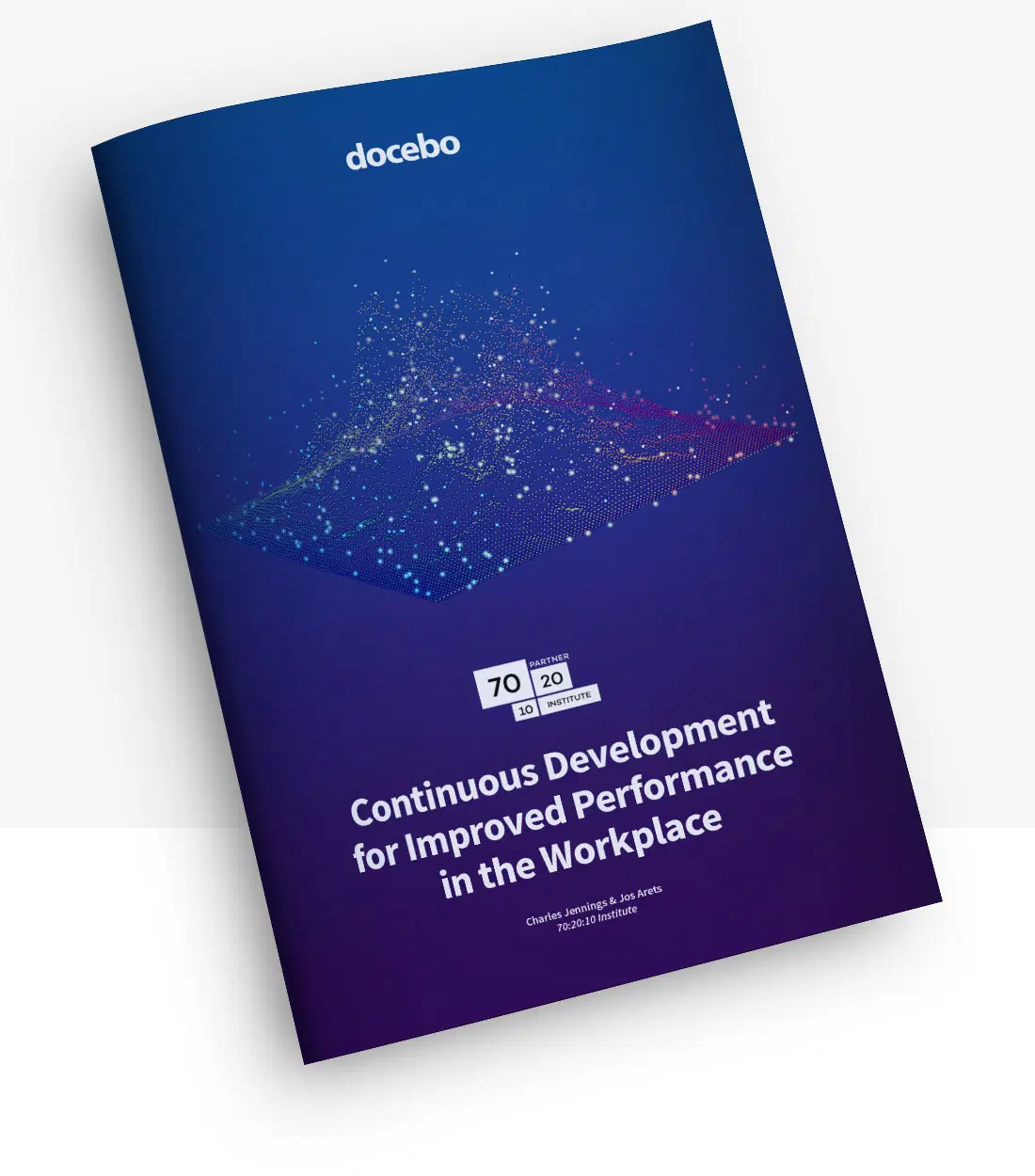 Continuous Development for Improved Performance in the Workplace